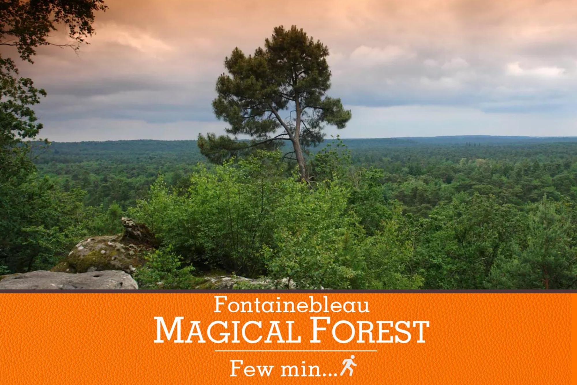 Duplex High Standing 7'➤fontainebleau⎮45'➤paris + Terrace Appartement Veneux-les-Sablons