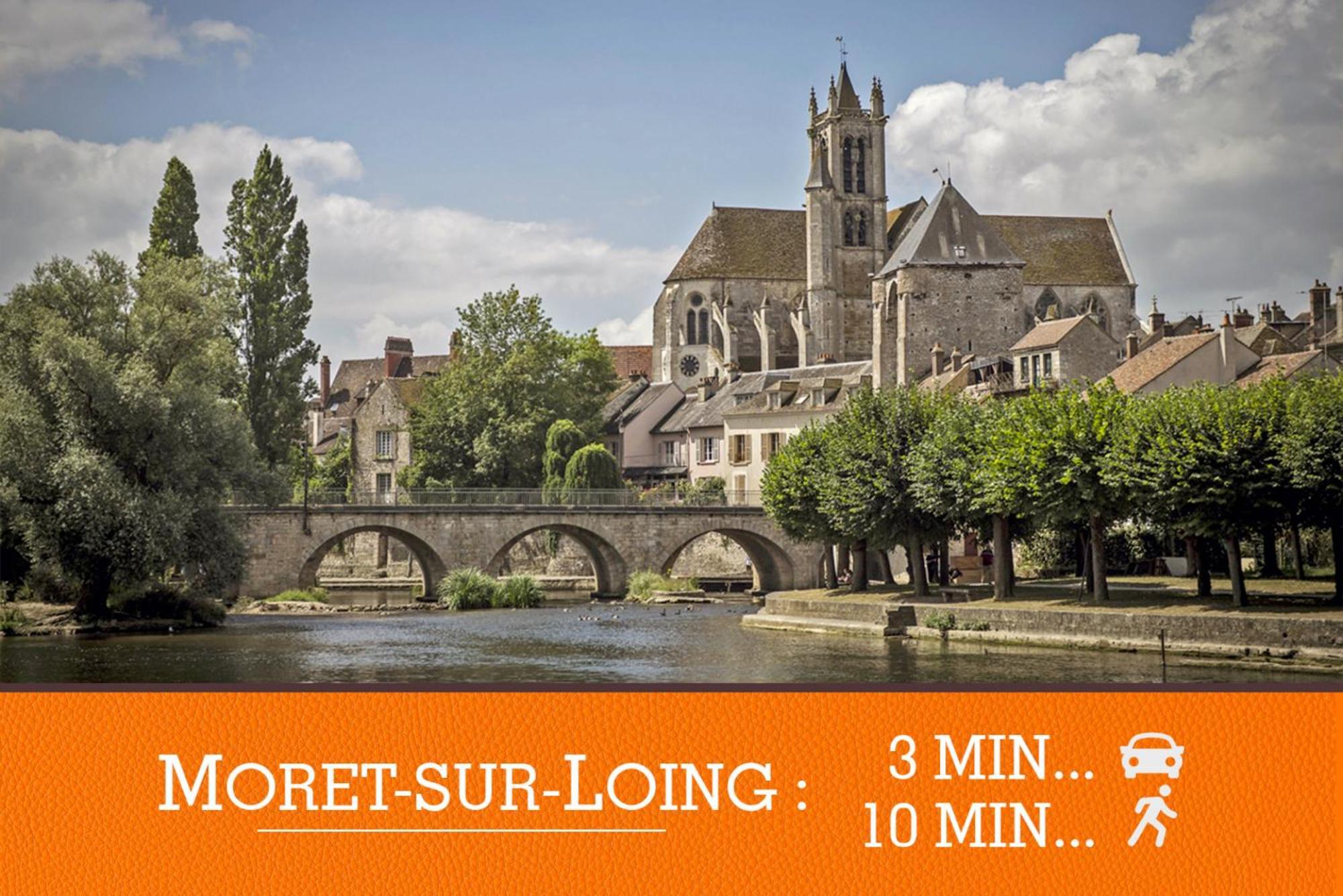 Appartement Duplex High Standing 7'➤fontainebleau⎮45'➤paris + Terrace *